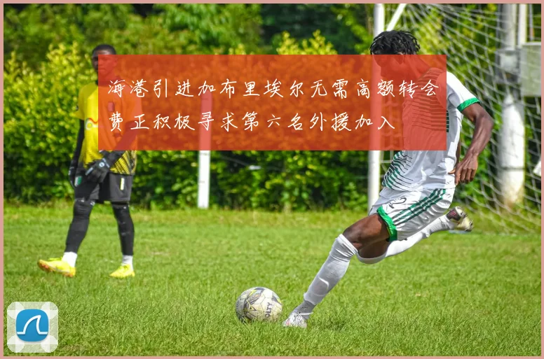 海港引进加布里埃尔无需高额转会费正积极寻求第六名外援加入